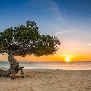 Aruba